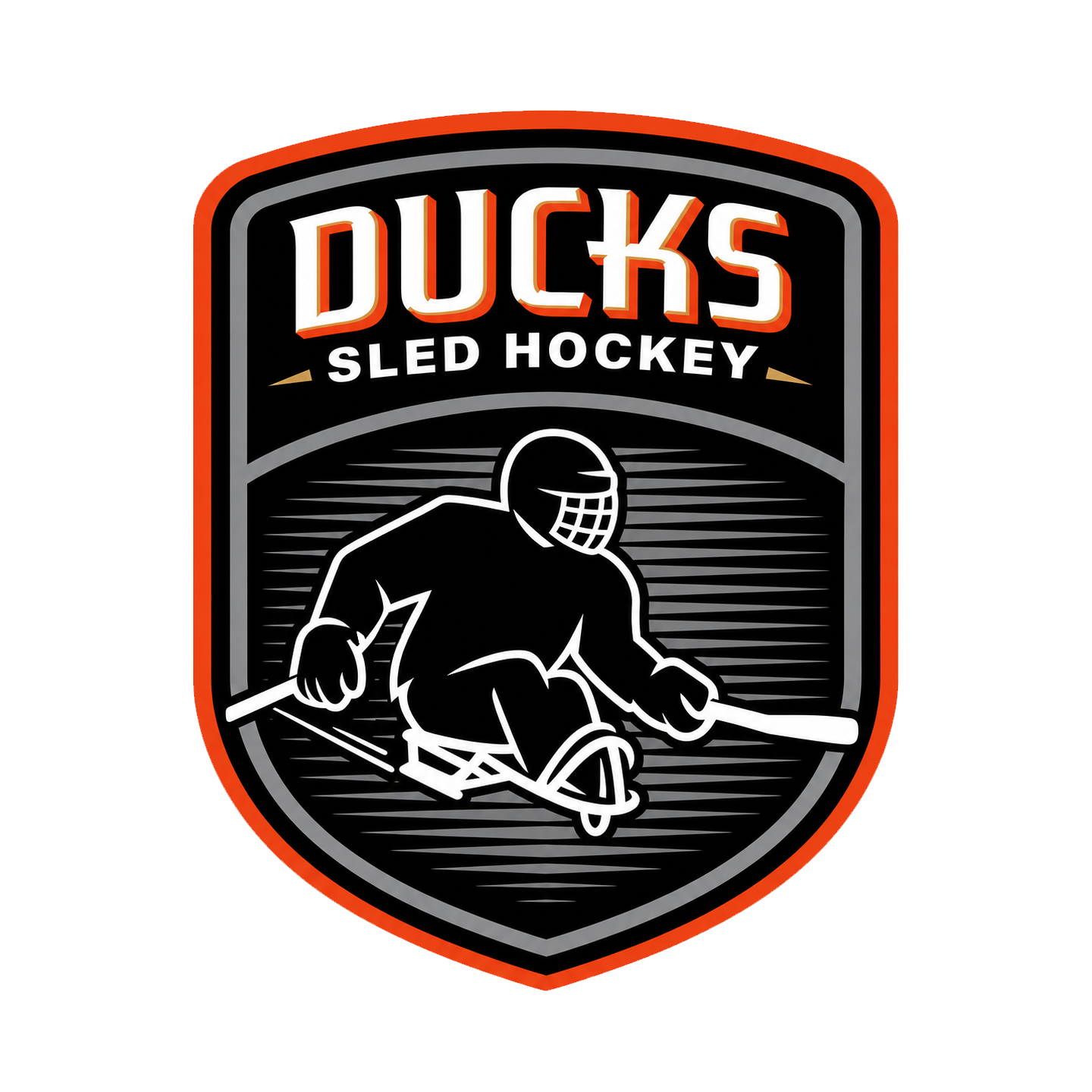 Ducks Sled Hockey